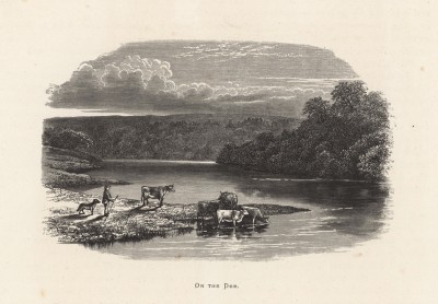 Вид на реку Ди в Абердиншире, Шотландия (иллюстрация к работе "Пресноводные рыбы Британии", изданной в Лондоне в 1879 году)
