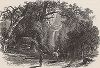 Водопад Брайдлвейл (Фата Невесты), Йосемити, штат Калифорния. Лист из издания "Picturesque America", т.I, Нью-Йорк, 1872.