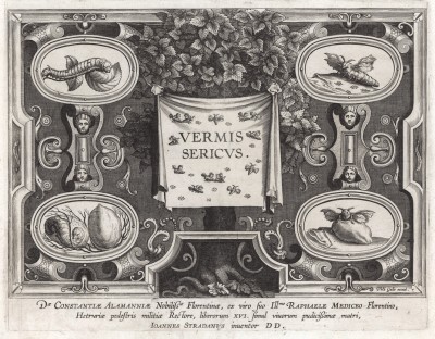 Титульный лист сюиты "Vermis Sericus" ("Тутовый шелкопряд"), Антверпен, 1595 год. 