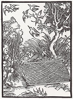 Глупый птицелов (иллюстрация к главе 39 книги Себастьяна Бранта "Корабль дураков", гравированная Дюрером в 1494 году)