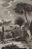 Животные острова Мараньян у берегов Бразилии. A New and Complete Collection of Voyages and Travels... Лондон, 1785