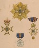 Орден Нидерландского льва (нидерл. De Orde van de Nederlandse Leeuw) основан 29 сентября 1815 г. первым королём Нидерландов Виллемом I. Afbeeldingen der oudere en nieuwere thans bestaande Ridderorden. Амстердам, 1843