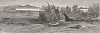 Стремнины на реке Джеймс-ривер в окрестностях Ричмонда, штат Вирджиния. Лист из издания "Picturesque America", т.I, Нью-Йорк, 1872.