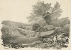 Рыбацкая лодка на берегу. Литография Жана Юбера. Париж, 1839