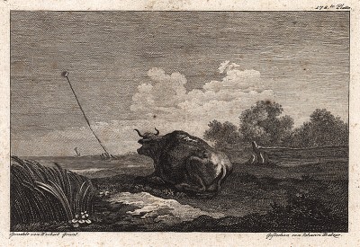 Голландский пейзаж с коровой. Немецкая гравюра середины XVIII века с живописного оригинал Якоба Кобервейна