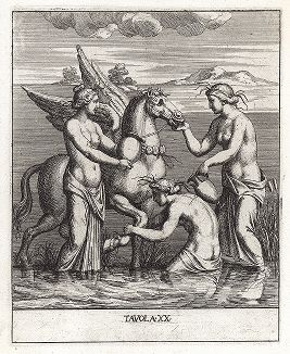 Аврора и Пегас. Le Pitture Antiche del Sepolcro de' Nasonii...", Рим, 1702 год