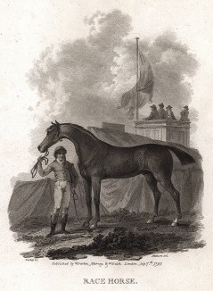 Скаковая лошадь и жокей на ипподроме. Лондон, 1797