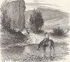 Водопой на реке Френч-Броад-ривер, штат Северная Каролина. Лист из издания "Picturesque America", т.I, Нью-Йорк, 1872.