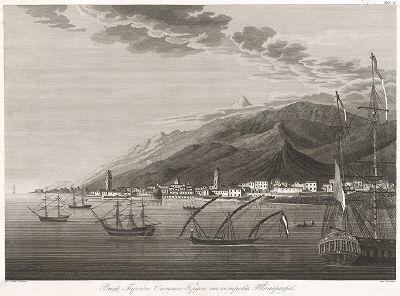 Вид города Санта-Круса на острове Тенерифе.