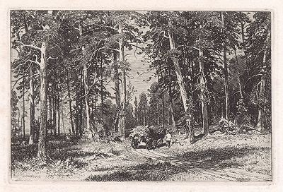 Окраина сосновой рощи (1876). 