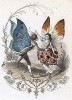Кружащиеся в танце Морфо адонис и бабочка-белянка. Les Papillons, métamorphoses terrestres des peuples de l'air par Amédée Varin. Париж, 1852
