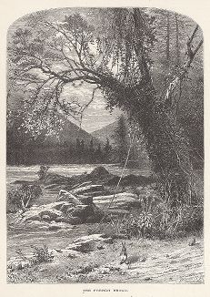 Вид на реку Френч-Броад-ривер, штат Северная Каролина. Лист из издания "Picturesque America", т.I, Нью-Йорк, 1872.