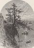 Вид на озеро Эри от холма Блаф над устьем реки Роки-ривер. Лист из издания "Picturesque America", т.I, Нью-Йорк, 1872.