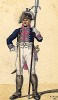1806 г. Унтер-офицер 18-го прусского пехотного полка с протазаном. Коллекция Роберта фон Арнольди. Германия, 1911-29