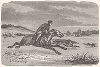 Охота на зайцев в Курляндии. Ксилография из издания "Voyages and Travels", Бостон, 1887 год