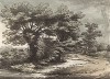 Деревья у пруда. Гравюра с рисунка знаменитого английского пейзажиста Томаса Гейнсборо из коллекции Дж. Хибберта. A Collection of Prints ...of Tho. Gainsborough, Лондон, 1819. 