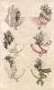 Разные шляпки из итальянского гроденапля и французских полевых цветов. Из первого французского журнала мод эпохи ампир Journal des dames et des modes, Париж, 1813. Модель № 1310