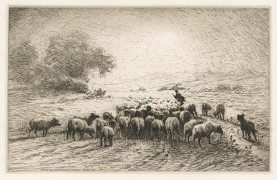 Стадо овец на закате дня.  Гравюра, изданная Обществом французских офортистов в 1933 году.
 