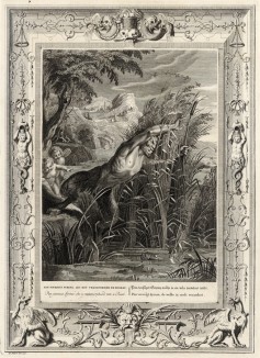 Пан преследует Сиринкс, та превращается в болотный тростник (лист известной работы "Храм муз", изданной в Амстердаме в 1733 году)