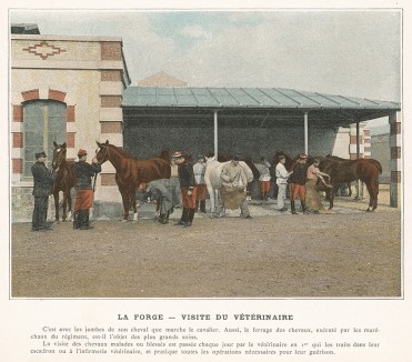 Ветеринары за работой. L'Album militaire. Livraison №3. Cavalerie. Serviсe interieur. Париж, 1890