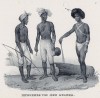 Коренные жители Новой Гвинеи (лист 27 второго тома работы профессора Шинца Naturgeschichte und Abbildungen der Menschen und Säugethiere..., вышедшей в Цюрихе в 1840 году)