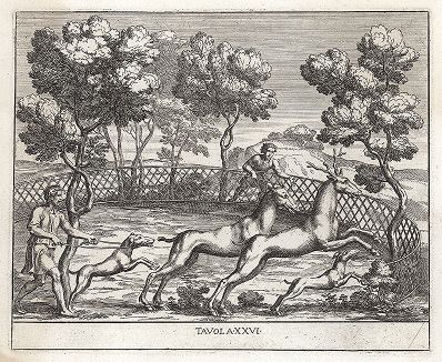 Охота на оленей. Le Pitture Antiche del Sepolcro de' Nasonii...", Рим, 1702 год