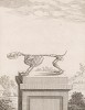 Скелет (лист IX иллюстраций к седьмому тому знаменитой "Естественной истории" графа де Бюффона, изданному в Париже в 1758 году)