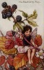 Осенние феи: фея ягод ежевики