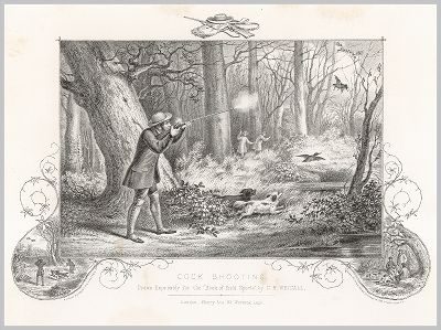 Копия «Утиная охота в Англии. The Book of Field Sports and Library of Veterinary Knowledge. Лондон, 1864»