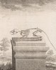 Скелет (лист XXIV иллюстраций к десятому тому знаменитой "Естественной истории" графа де Бюффона, изданному в Париже в 1763 году)