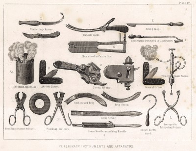 Ветеринарные инструменты и аппараты. The Book of Field Sports and Library of Veterinary Knowledge. Лондон, 1864