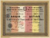Русско-Бельгийское металлургическое общество (Акция. 250 рублей. Спб., 1911 год)