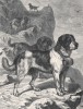 Сенбернары за работой (из "Книги собак" Веро Шоу, изданной в Лондоне в 1881 году)