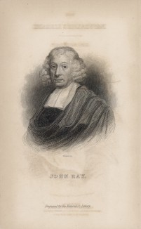 Джон Рэй (1628-1705) -- английский натуралист и теолог (разделил растения на однодольные и двудольные и дал первую биологическую концепцию вида) (фронтиспис XXXV тома "Библиотеки натуралиста" Вильяма Жардина, изданного в Эдинбурге в 1843 году)