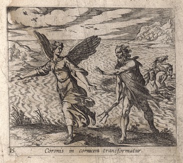 Коронида превращается в ворона. Гравировал Антонио Темпеста для своей знаменитой серии "Метаморфозы" Овидия, л.15. Амстердам, 1606