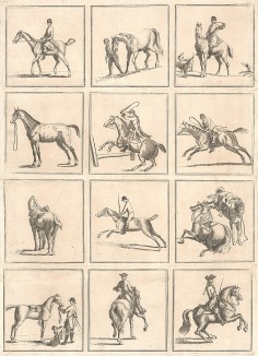 Искусство верховой езды: прогулка, охота, скачки и выездка. Английская гравюра середины XVIII века