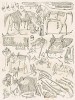 Упряжь и сёдла арабских скакунов, рисованные с натуры во время путешествия по Египту герцога Максимилиана Баварского в 1838 году (из "Путешествия на Восток..." герцога Максимилиана Баварского. Штутгарт. 1846 год (лист VI))