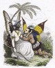 Романтическое свидание двух бабочек под сенью ванильного дерева в лесах Гвианы. Les Papillons, métamorphoses terrestres des peuples de l'air par Amédée Varin. Париж, 1852