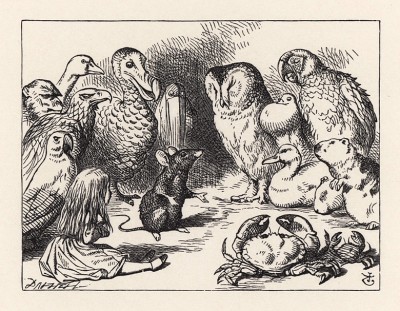 Общество, собравшееся на берегу, имело весьма неприглядный вид (иллюстрация Джона Тенниела к книге Льюиса Кэрролла «Алиса в Стране Чудес», выпущенной в Лондоне в 1870 году)