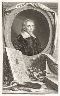 Уильям Гарвей (1578-1657) - выдающийся английский медик,  оказавший значительное влияние на развитие физиологии, эмбриологии и акушерства. Особо знаменит в связи с описанием процесса кровообращения. 