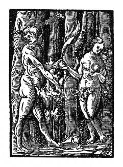 Грехопадение. Из Benedictus Chelidonius / Passio Effigiata. Монограммист N.H. Кёльн, 1526