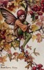 Осенние феи: фея ягод боярышника