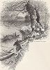 Река Саванна-ривер в окрестностях города Аугуста, штат Джорджия. Лист из издания "Picturesque America", т.I, Нью-Йорк, 1872.