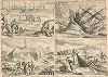 Первая в истории зимовка европейцев в полярных широтах: экспедиция Виллема Баренца на Новой Земле в 1596 - 1597 гг. 