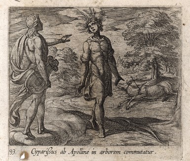 Аполлон превращает Кипариса в дерево. Гравировал Антонио Темпеста для своей знаменитой серии "Метаморфозы" Овидия, л.93. Амстердам, 1606