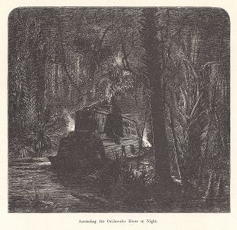 Подъём ночью по реке Оклаваха-ривер, штат Флорида. Лист из издания "Picturesque America", т.I, Нью-Йорк, 1872.