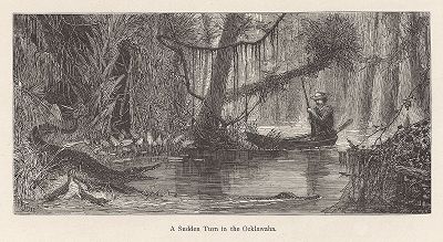 Неожиданная встреча на реке Оклаваха-ривер. Лист из издания "Picturesque America", т.I, Нью-Йорк, 1872.