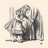 Алиса увидела занавеску, которую не заметила раньше (иллюстрация Джона Тенниела к книге Льюиса Кэрролла «Алиса в Стране Чудес», выпущенной в Лондоне в 1870 году)