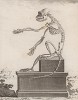 Сидячий скелет обезьяны (лист XXIV иллюстраций к четырнадцатому тому знаменитой "Естественной истории" графа де Бюффона, изданному в Париже в 1766 году)