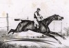 Чрезвычайно испуганная скаковая лошадь с сидящим на ней жокеем. Французская литография 2-й четверти XIX века